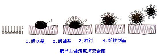 肥皂、洗衣粉和洗衣液三者有哪些區(qū)別？